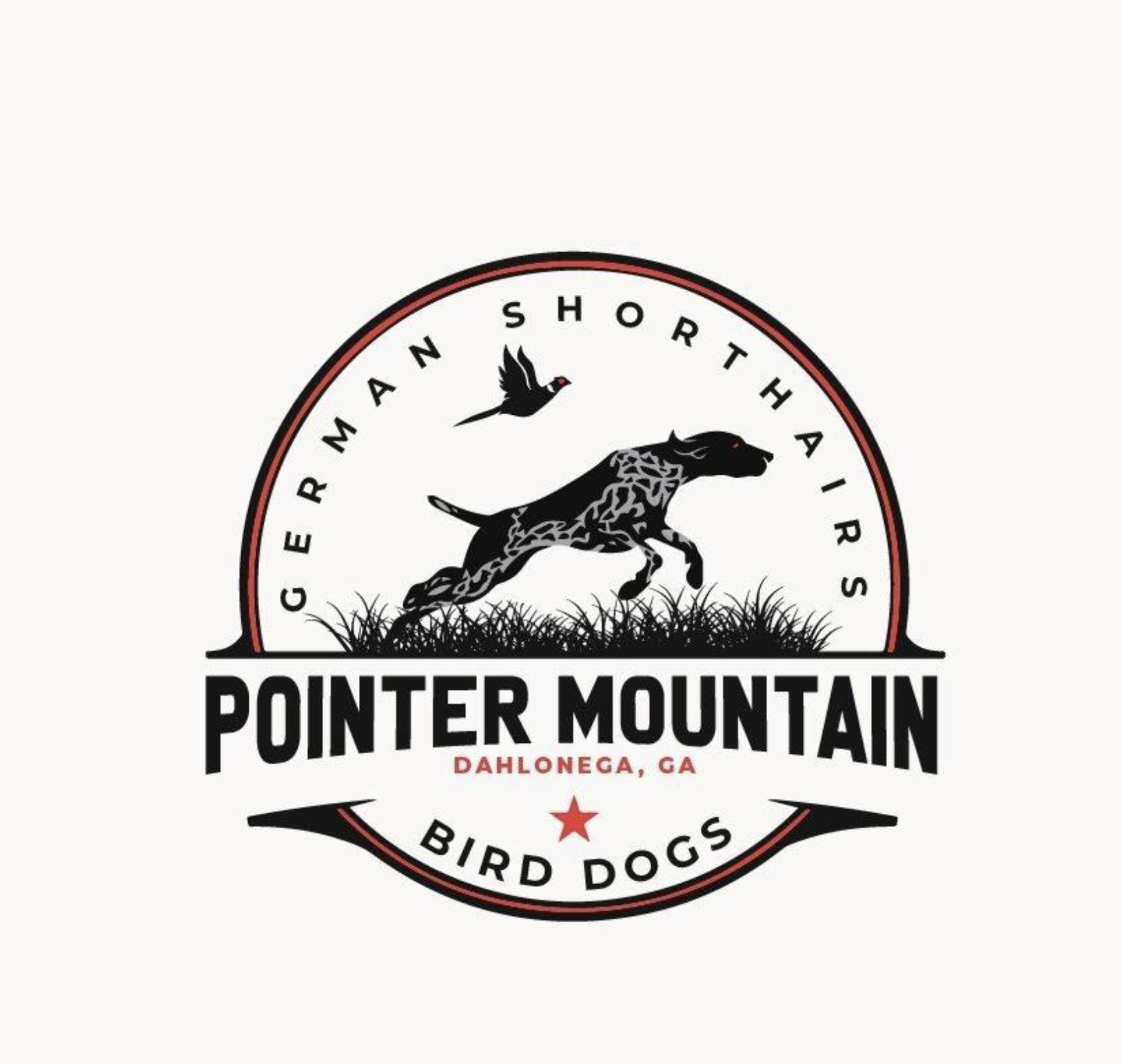 Pointer Mountain Bird Dogs